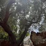 ヴィラ Trullo Oasi Di Pace