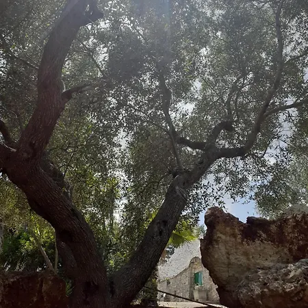 Villa Trullo Oasi Di Pace