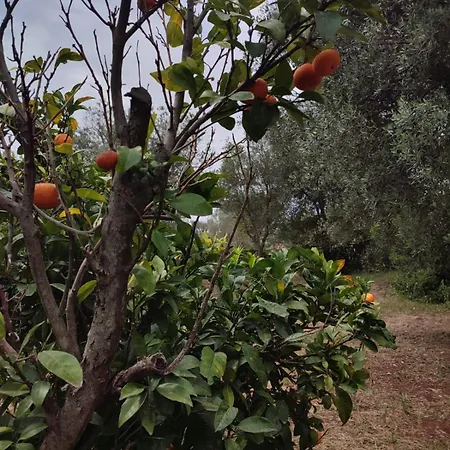 Trullo Oasi Di Pace * Ceglie Messapica